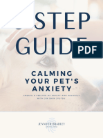 3-Step Guide To Calming Your Pet's Anxiety