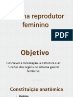 Aula 05 - Sistema Reprodutor Feminino