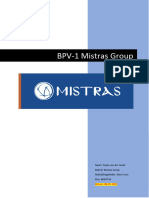 BPV-1 Verslag Mistras-Group