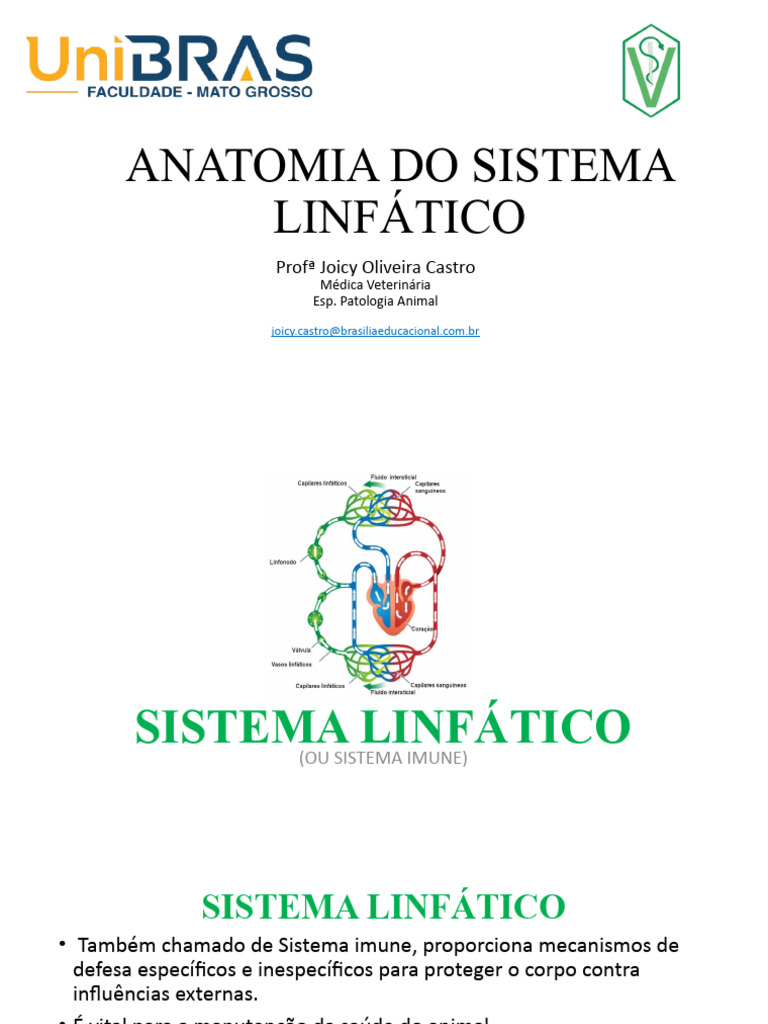 Aula 02 Anato Sistema Linfático Download Grátis Pdf Sistema