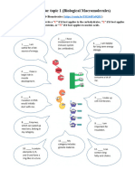 Worksheet (Biological Macromolecules)