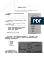 Sistemul Nervos
