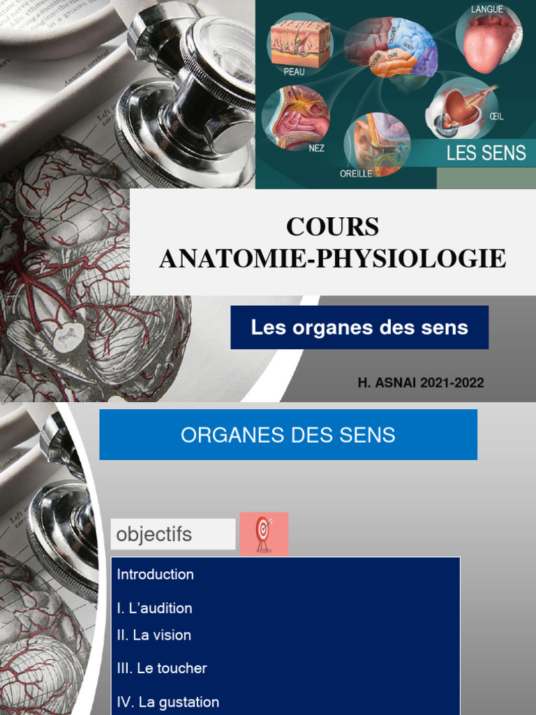 Chap Ix Organes de Sens | PDF | Système vestibulaire | Oreille