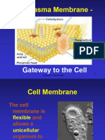 Biochemistry SG (DR - Lweza)