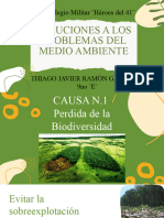 Presentacion Medio Ambiente