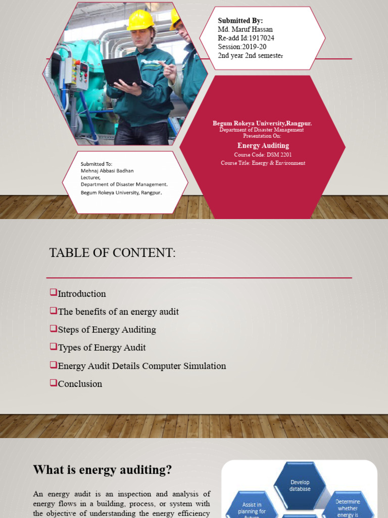 Energy Auditing PDF Audit Energy Conservation