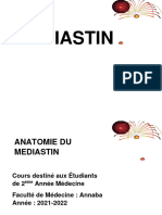 3 - Anatomie Du Médiastin