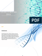 Estrutura Do DNA e RNA