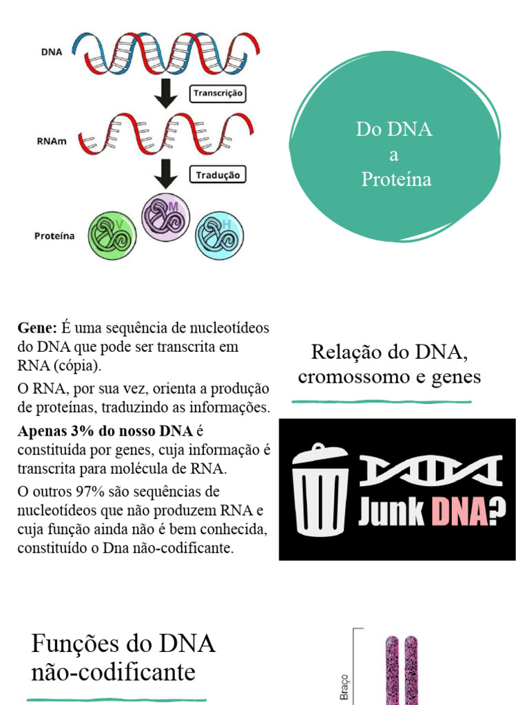 Do DNA à Proteína: Guia Essencial | PDF | Tradução (Biologia) | RNA
