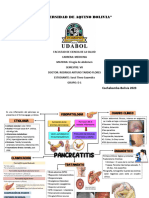 Mapa Mental de Abdomen