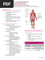 Chapter 7 - Muscuar System