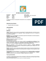 Informe Ecografico SGM Pe Docky Beagle 9a Maldonado 08.09.23