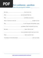 Present Perfect Continuous Exercise 4