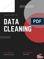 A Biref Guide to Data Cleaning