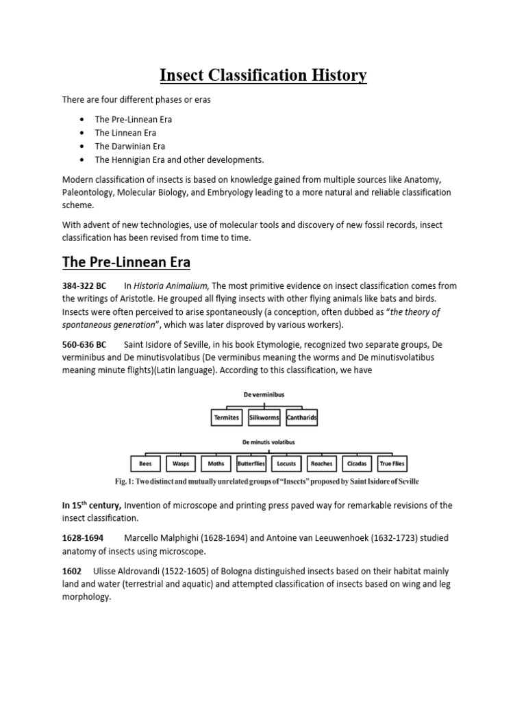 history of insect classification PDF Insects Taxonomy (Biology)