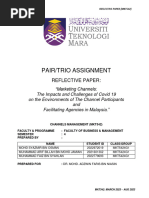 Mkt542 Assignment 1 Reflective Paper