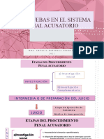 Las Pruebas en El Sistema Penal Acusatorio