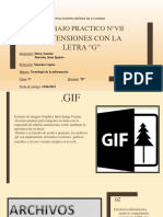 TrABAJO PRACTICO N°VII EXTENSIONES CON LETRA G