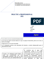 Practica Profesional Pp2