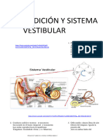 Audición y Sistema Vestibular-2