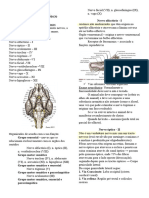 Anatomia IV Aula 10 Parte 1