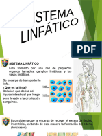 Sistema Linfático