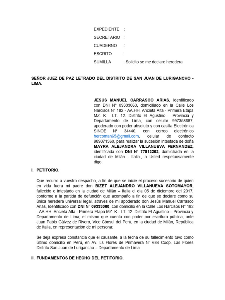 Demanda de proceso de sucesion intestada pdf