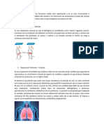 Informacion para La Infografia