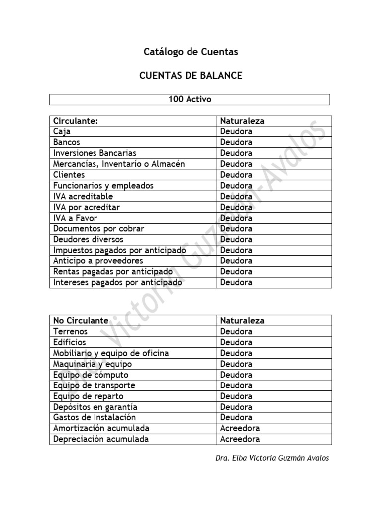 Catálogo de Cuentas y Notas | PDF | Impuesto al valor agregado ...
