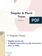 Singular & Plural Nouns