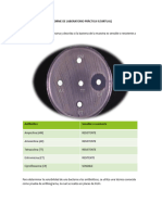 INFORME DE LABORATORIO PRÁCTICA 9 Microbiología