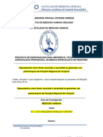 Morales Cornejo Luis Guillermo Proyecto de Investigacion Original