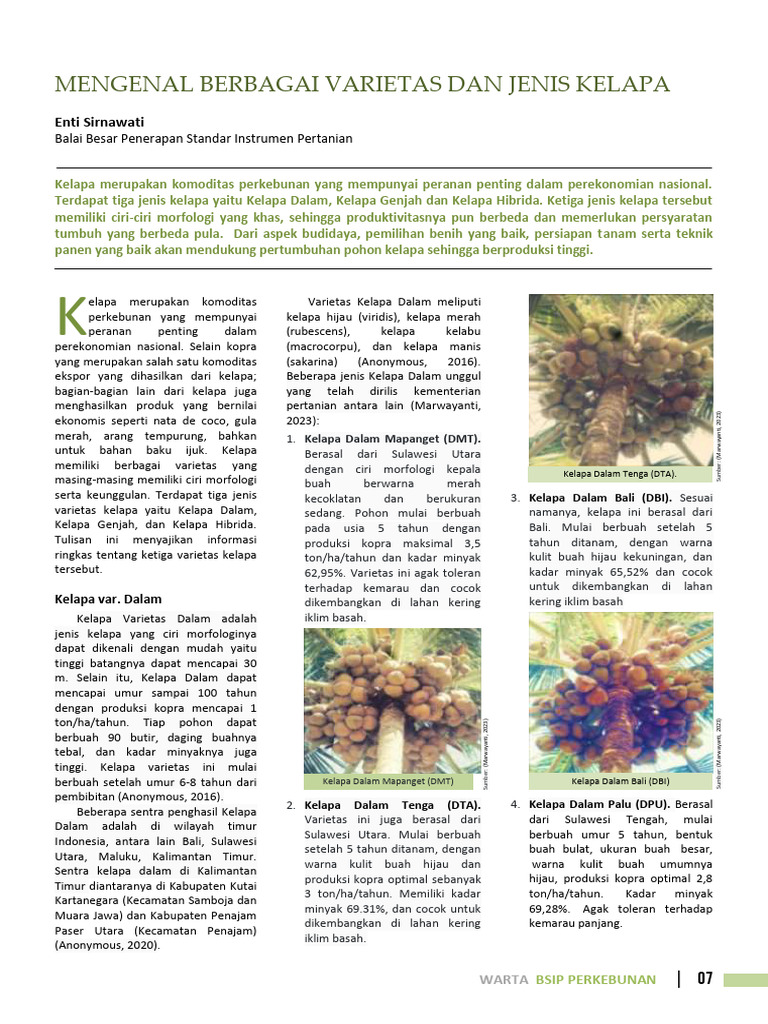 Jenis dan Varietas Kelapa di Indonesia | PDF