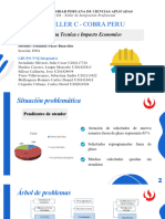 Taller C PDF