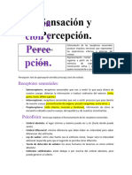 Sensación y Percepción