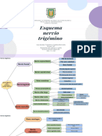Nervio Trigemino y Facial