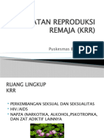 Kesehatan Remaja (KRR)