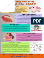 Infografía Taenia Solium