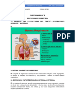 Cuestionario #8 Fisiologia