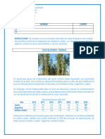 Casos Repaso Primer Parcial 2023