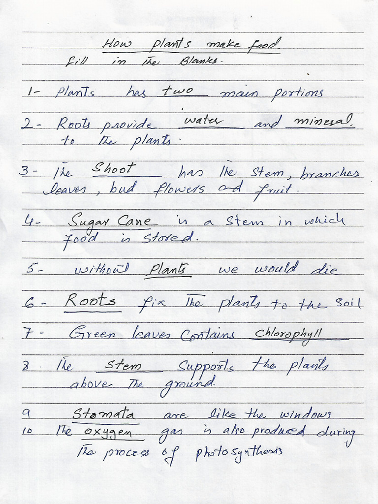 Class 4th CH 1 How Plants Make Food PDF