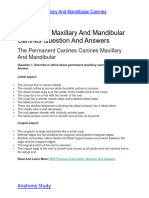 Permanent Maxillary and Mandibular Canines Question and Answers