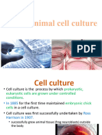 4.4 - Animal Cell Culture