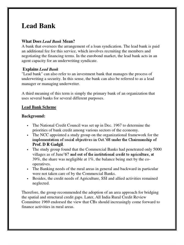Lead Bank PDF Financial Inclusion Banks