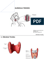 Glandula Tiroides. Versión Definitiva