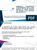 Slide 2 - Klebsiella A Pneumoniae Carbapenemase (KPC) Como Ameaça de Saúde Pública No Brasil