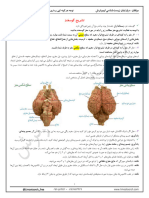 تشریح مغز گوسفند