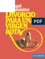 Divorcio para Una Virgen Rota - Angel Palomino