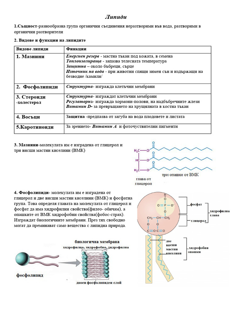Липиди | PDF