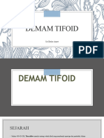 Demam Tifoid